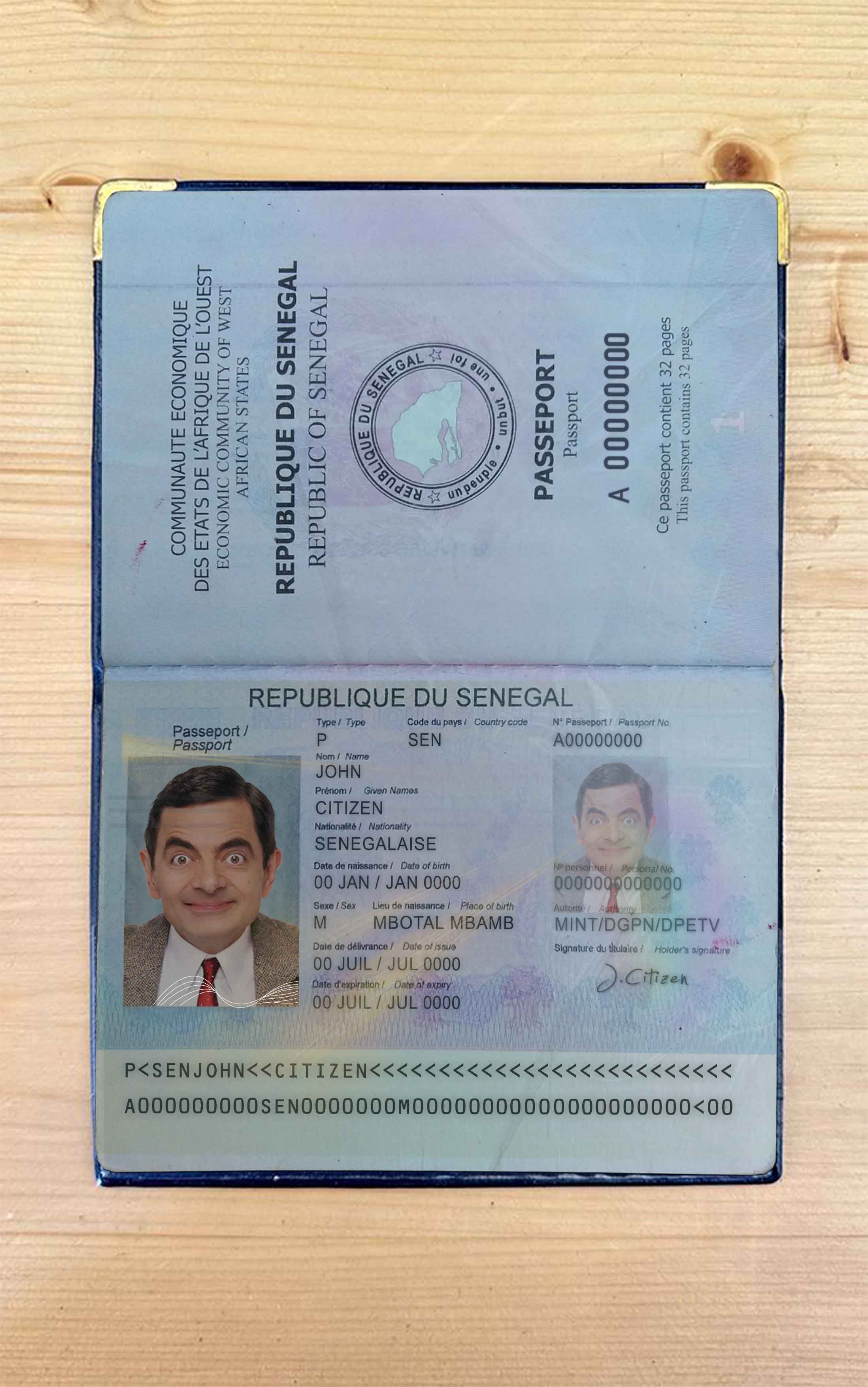 Senegal pass photo look PSD template